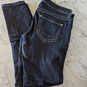 Daytrip lynx skinny jeans